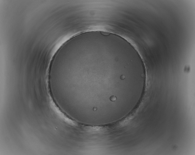 X0000112020949200908031354