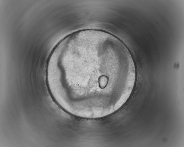 X0000112020950200908031354