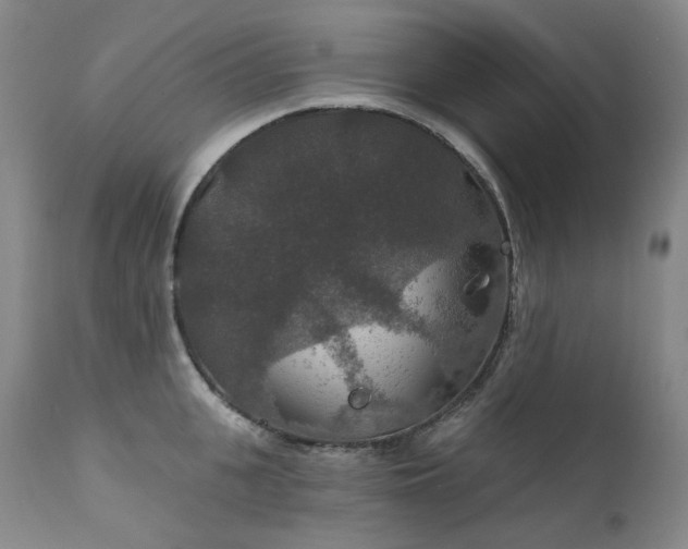 X0000112020951200908031354