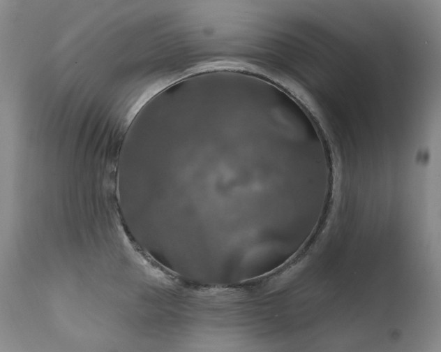 X0000112020953200908031354