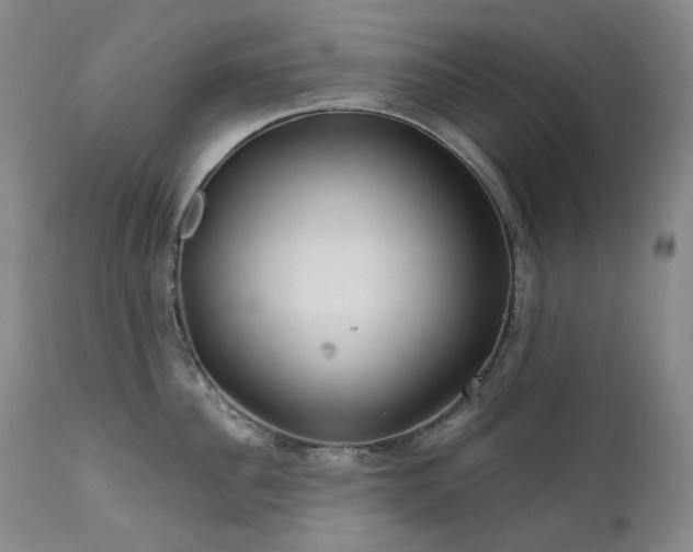 X0000112020956200908031354