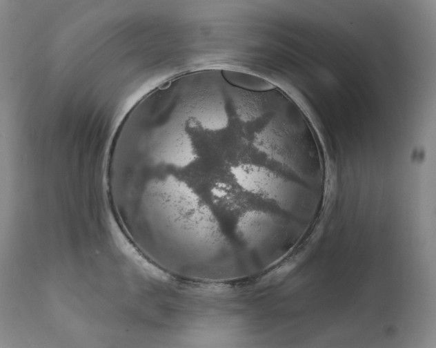 X0000112020957200908031354