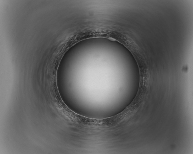 X0000112020961200908031353