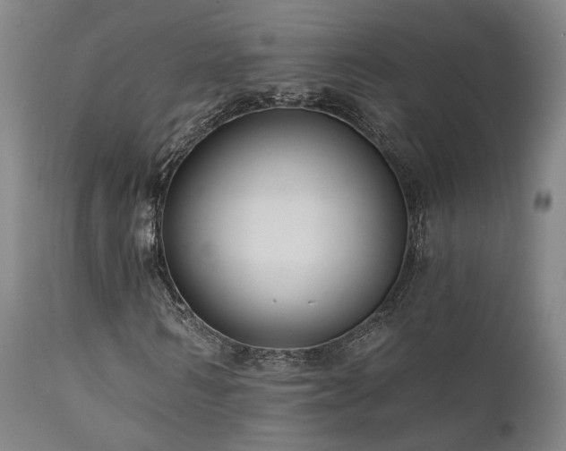 X0000112020962200908031353