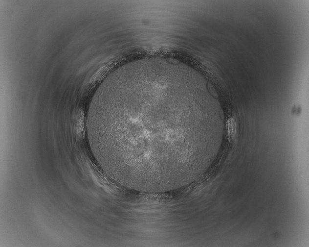 X0000112020963200908031353