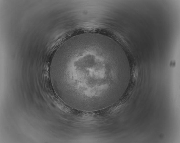 X0000112020964200908031353