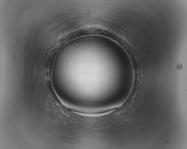 X0000112020965200908031353