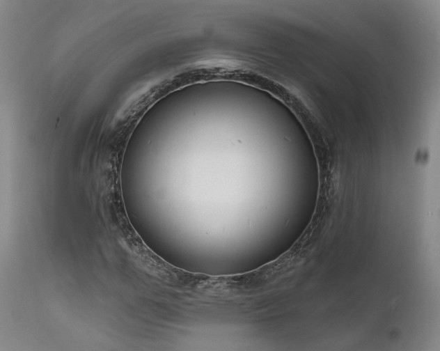 X0000112020967200908031353