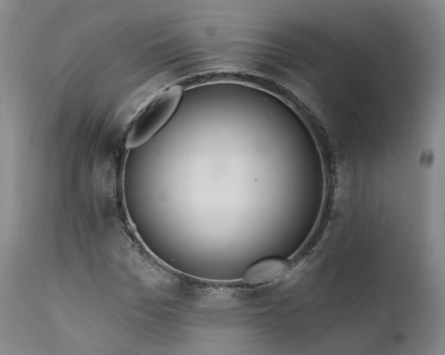 X0000112020969200908031353