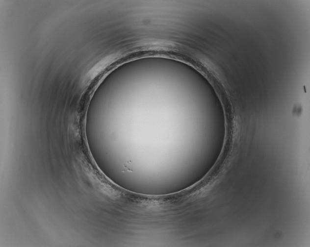 X0000112020970200908031353