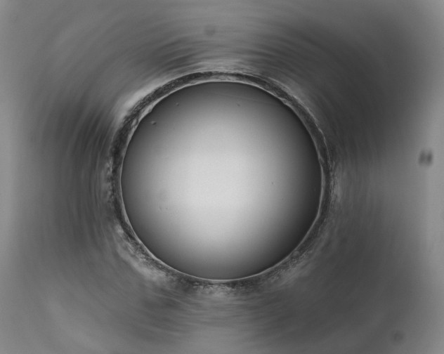 X0000112020971200908031353