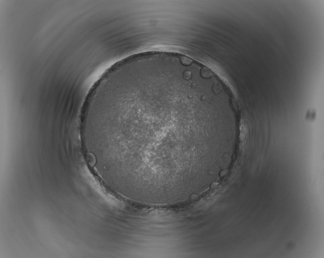 X0000112020972200908031353