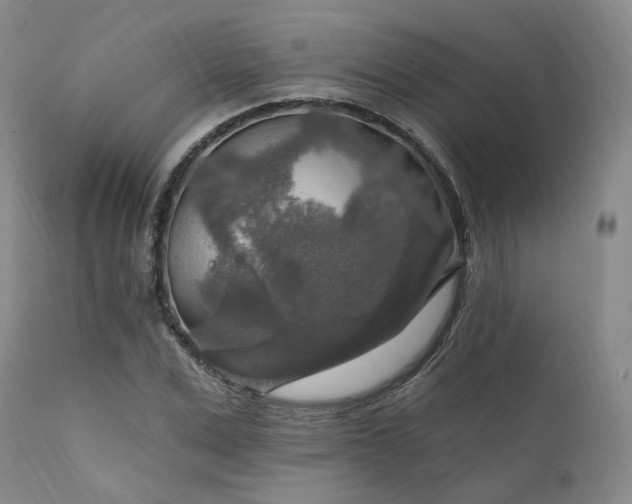 X0000112020975200908031353