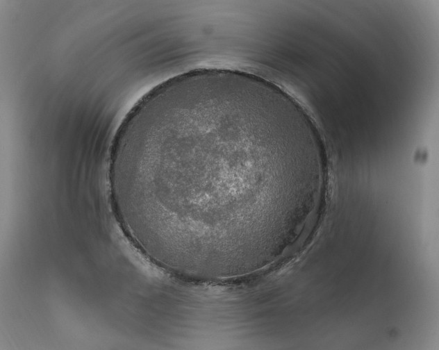 X0000112020976200908031353