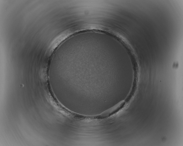 X0000112020977200908031353