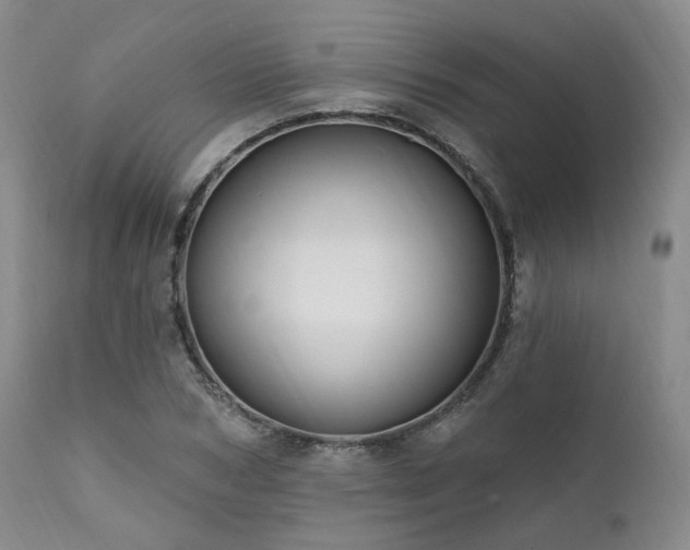 X0000112020978200908031353