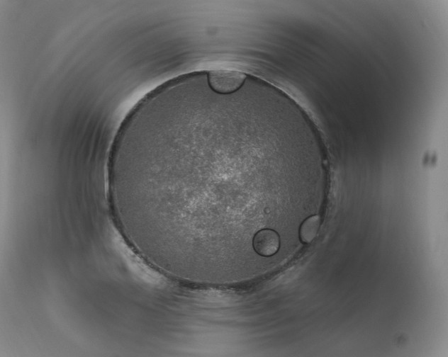 X0000112020980200908031353