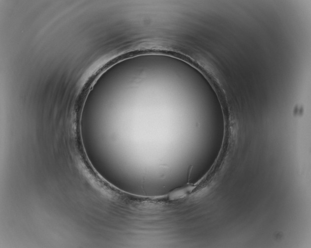 X0000112020981200908031353