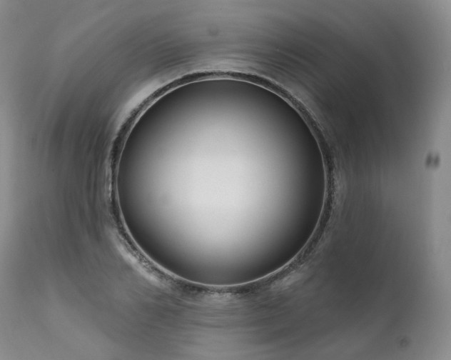 X0000112020982200908031353