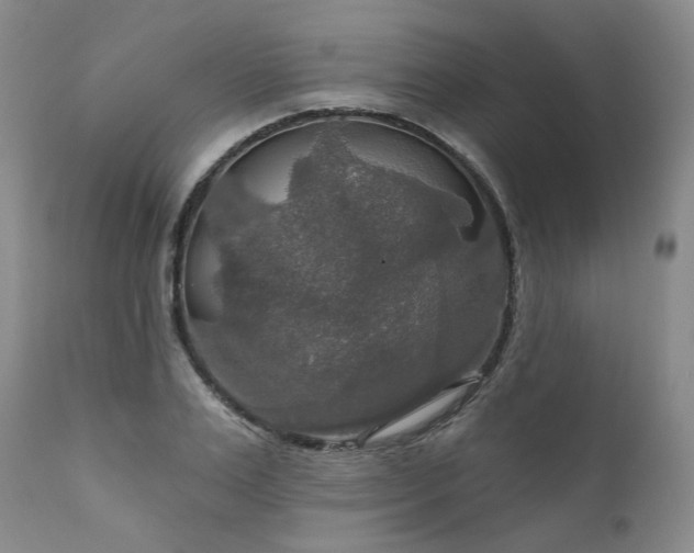 X0000112020983200908031353