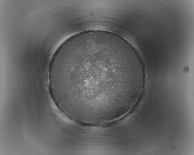 X0000112020984200908031353