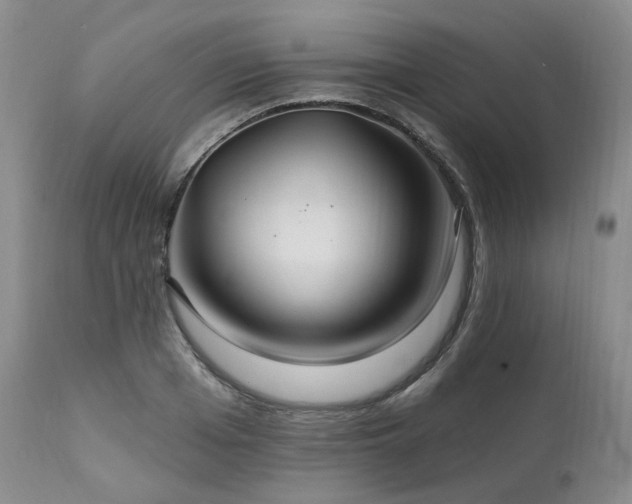 X0000112020985200908031353