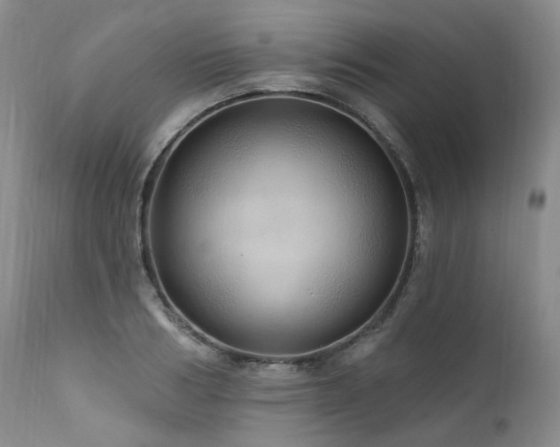 X0000112020986200908031353