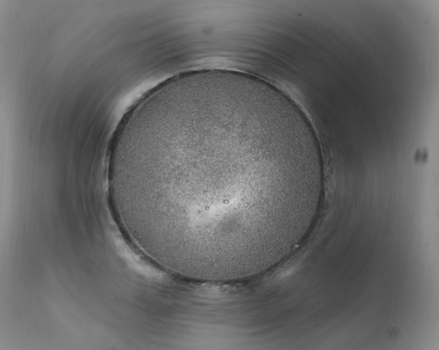 X0000112020987200908031353