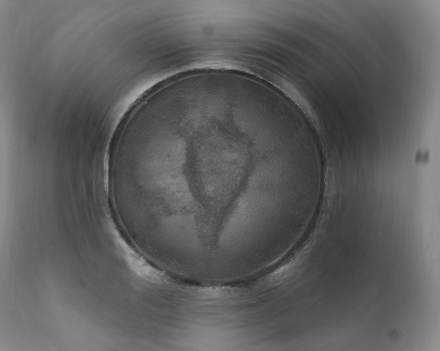 X0000112020988200908031353