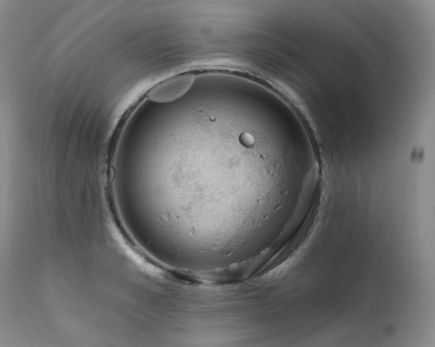 X0000112020989200908031353