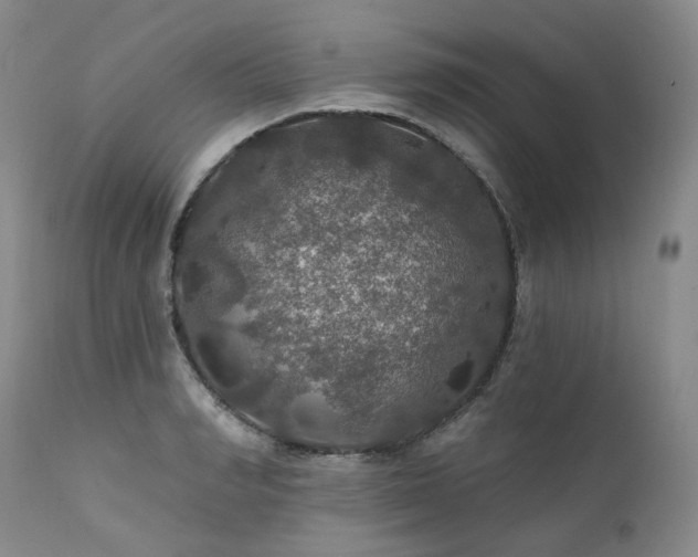 X0000112020990200908031353