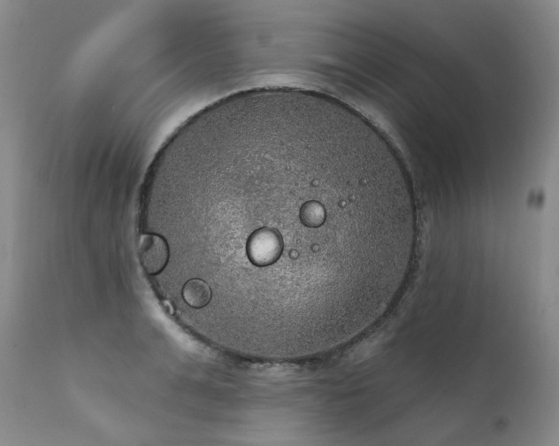 X0000112020991200908031353