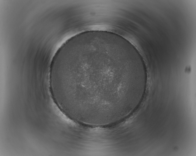 X0000112020992200908031353