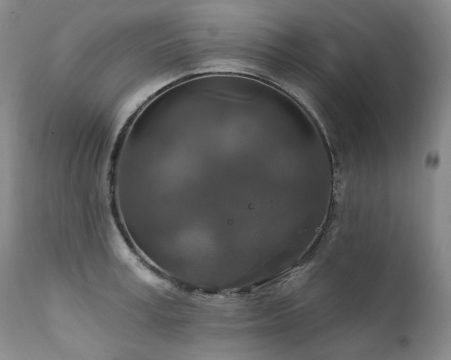 X0000112020995200908031353