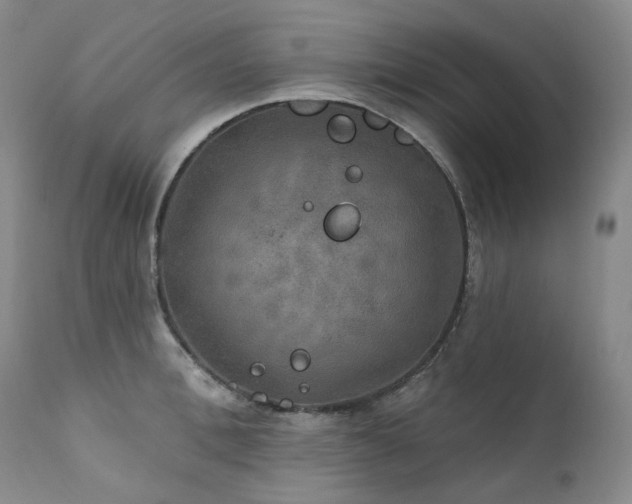 X0000112020996200908031353