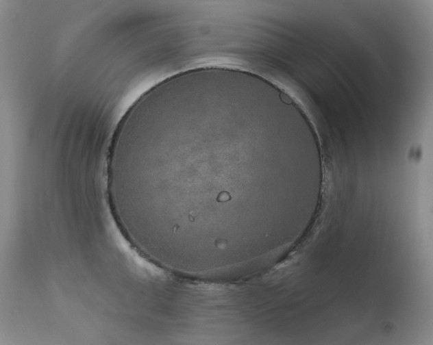 X0000112020999200908031352