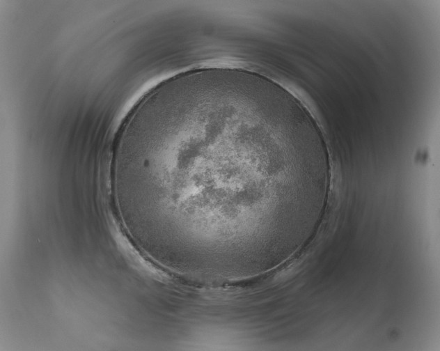 X0000112021000200908031352