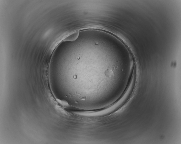 X0000112021001200908031352