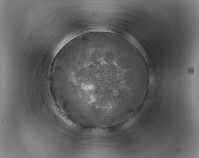 X0000112021002200908031352