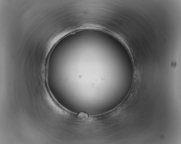 X0000112021003200908031352