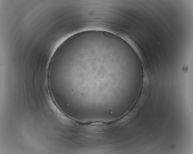 X0000112021004200908031352