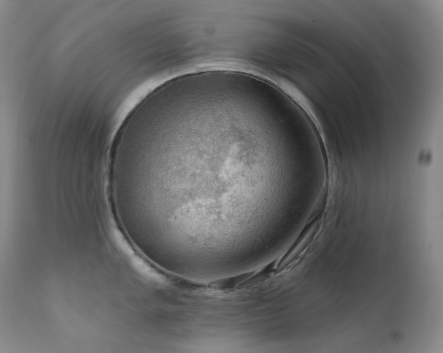 X0000112021005200908031352