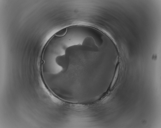 X0000112021007200908031352