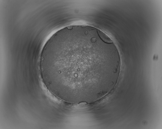 X0000112021008200908031352