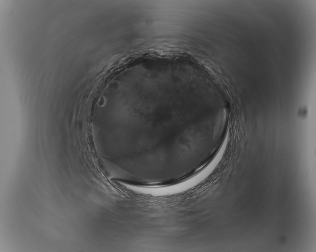 X0000112021009200908031352