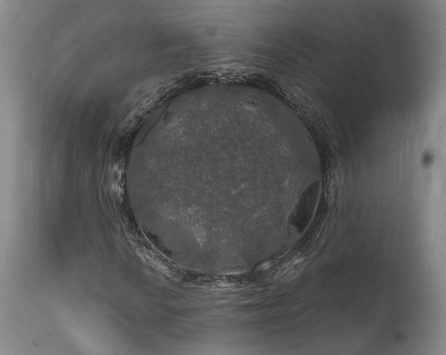 X0000112021010200908031352