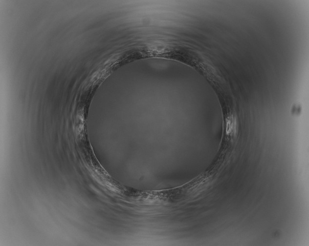 X0000112021011200908031352