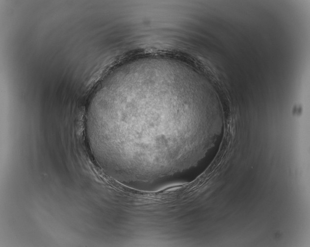 X0000112021012200908031352