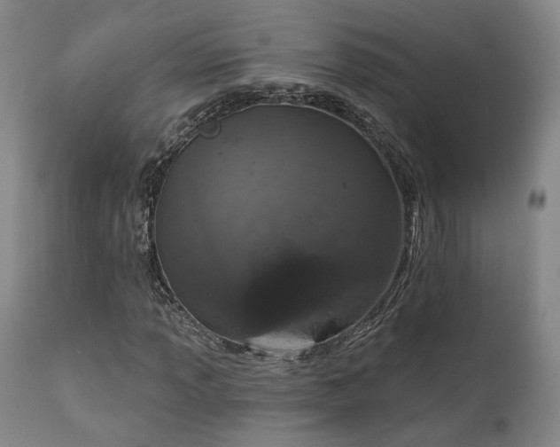 X0000112021013200908031352