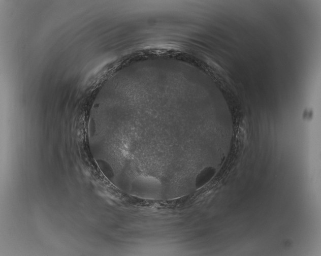 X0000112021014200908031352